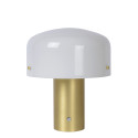 TIMON Table lamp  E27/25W 35cm Matt Gold/Opal