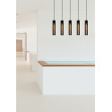 LIONEL Pendant 5xE27/40W Black
