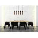 LIONEL Pendant 5xE27/40W Black