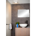 BRICE-LED Ceiling L Dimmable 15W Square IP44