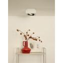 ZEFIX Ceiling Spotlight 1x Gu10/12W DTW White