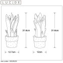 SANSEVIERIA - Stolová lampa - E14/25W H31.6cm - zelená