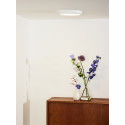 TENDO-LED - Stropné svietidlo - 22cm 18W 13