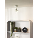 CIGAL - Stropný reflektor - LED 1xGU10/5W 350LM 2700K 
