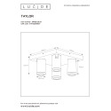 TAYLOR Ceiling Spotlight 4x GU10/5W IP44 DTW  Whit