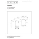 TAYLOR Ceiling Spotlight 2x GU10/5W IP44 DTW  Blac