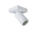 TAYLOR Ceiling Spotlight GU10/5W IP44 DTW  White