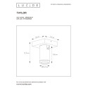 TAYLOR Ceiling Spotlight GU10/5W IP44 DTW  White
