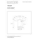 TAYLOR Ceiling Spotlight GU10/5W IP44 DTW  Black