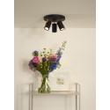 GRONY Ceiling Spotlight 3xGu10/5W  Black/Gold